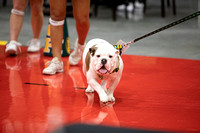 GAC Tournament vs. Henderson State (GAC Photog)