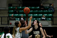 v. Harding 2/13 (DN)
